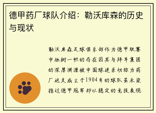 德甲药厂球队介绍：勒沃库森的历史与现状